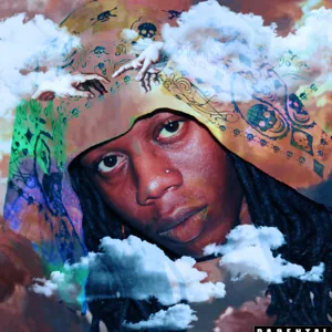 Cover art for Vizine