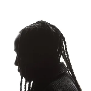 Cover art for Fever